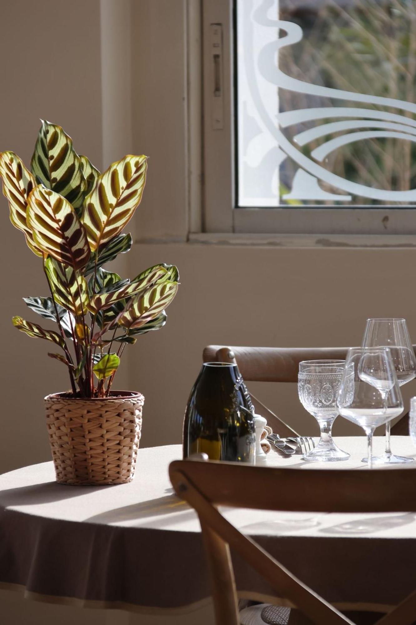 Adonis Grand Des Bains Hotel Sanary-sur-Mer